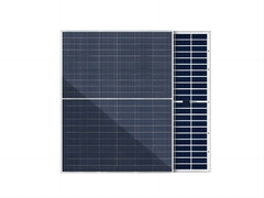 HJT Solar Module